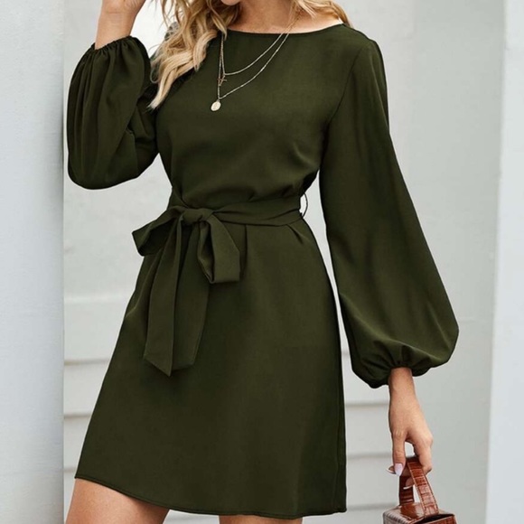 Blue long lantern sleeve belted dress - Picture 9 of 16